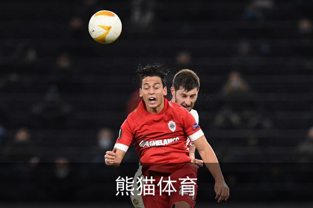 熊猫体育公司介绍